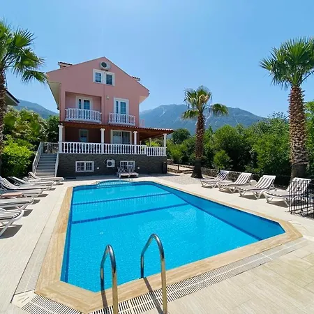 Alex 빌라 페티예